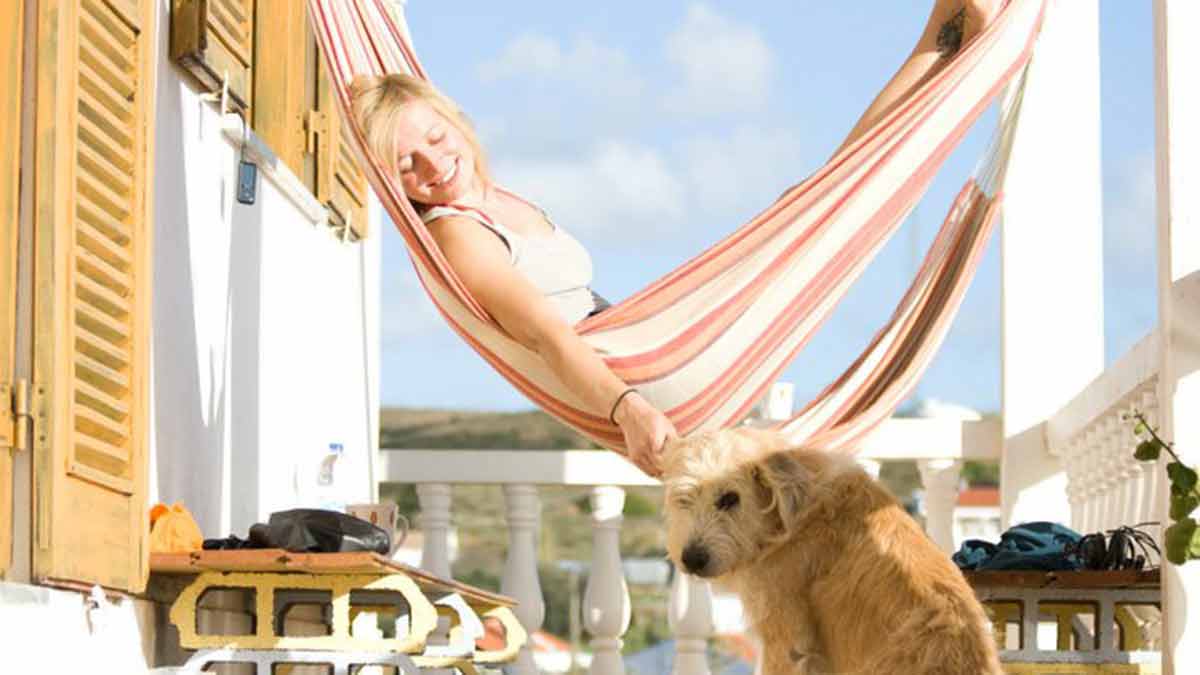 Relaxing Hammock On The Terrace At Good Feeling Surf Hostel